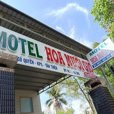 Nha Nghi Hoa Muoi Gio Hotel Tan Tao Kültér fotó